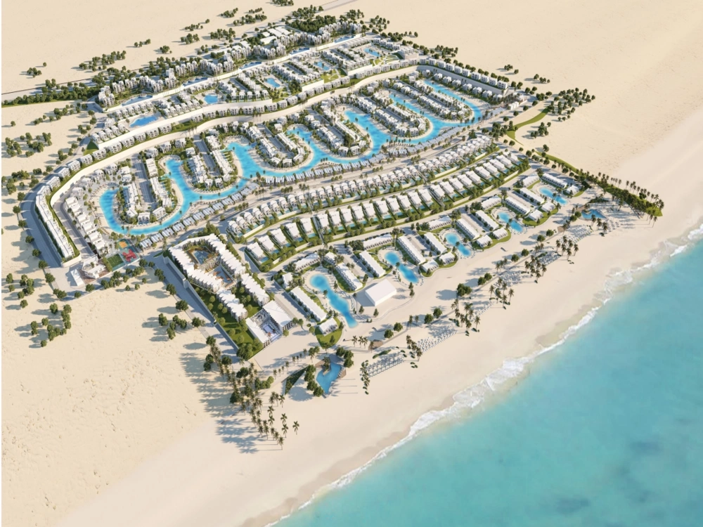 دي باي gallery image